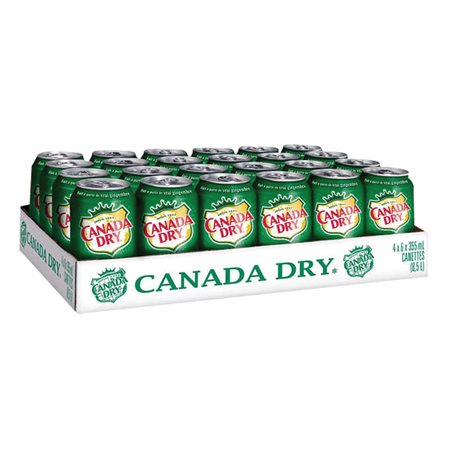 Carbonated Soft Drinks Box of 24 cans Canada Dry Ginger Ale