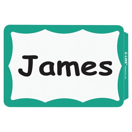 Name badge Self Adhesive 2-1 / 4 x 3-1 / 2 Green Bordered