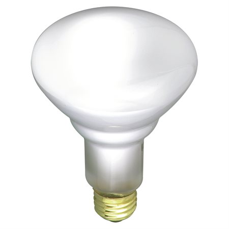 Incandescent BR30 Bulb