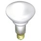 Incandescent BR30 Bulb