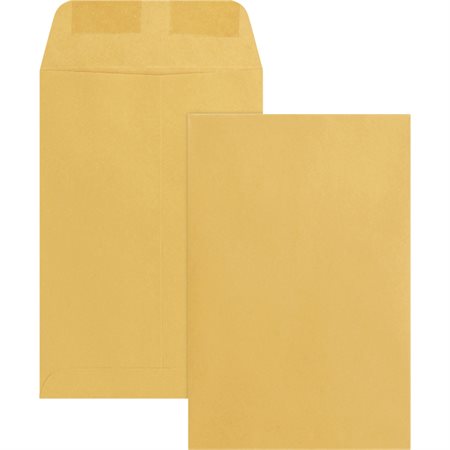 Catalogue Envelope Kraft. 24 lb. Box of 500. 6 x 9 in.