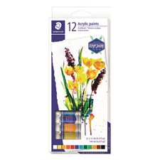 Ensemble de tubes de peinture acrylique pqt 12