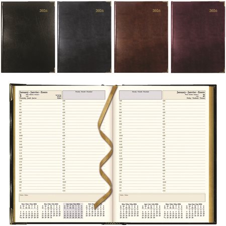 Executive Daily Diary (2025)