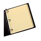 Earthwise® Dividers Laminated tabs printed on both sides 1-31