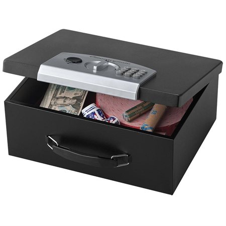 ESB-3 Electronic Security Box