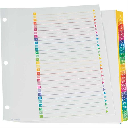 Super Rapidex™ Pre-Printed Dividers 1-31