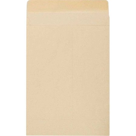 Kraft Expandable Envelope 9 x 12 in.