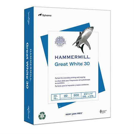 Papier pour copie recyclé Great White® 30 lettre