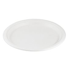 Eco Guardian Plates 10"