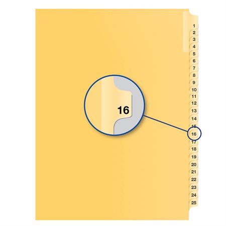 Individual Numerical Litigation Index Dividers #16