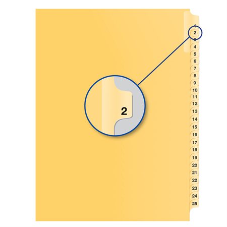 Individual Numerical Litigation Index Dividers #2