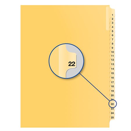 Individual Numerical Litigation Index Dividers #22