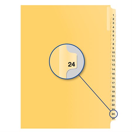 Individual Numerical Litigation Index Dividers #24