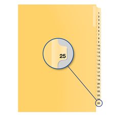 Individual Numerical Litigation Index Dividers #25