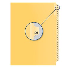 Individual Numerical Litigation Index Dividers #26