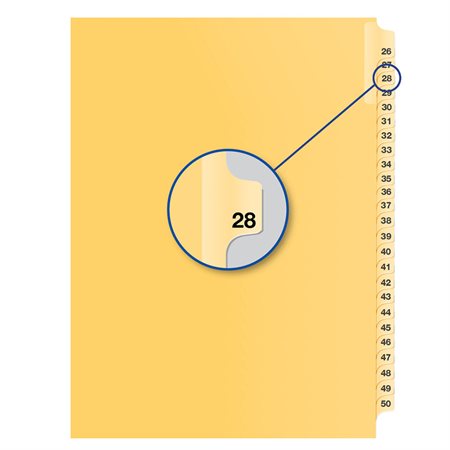 Individual Numerical Litigation Index Dividers #28