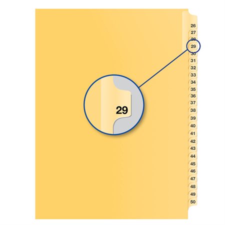 Individual Numerical Litigation Index Dividers #29