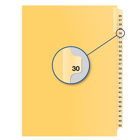 Individual Numerical Litigation Index Dividers #30