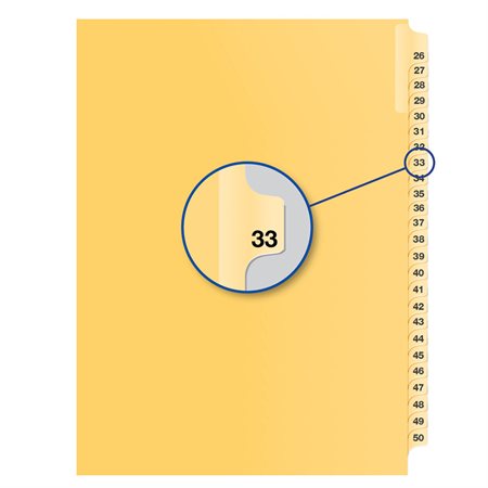 Individual Numerical Litigation Index Dividers #33