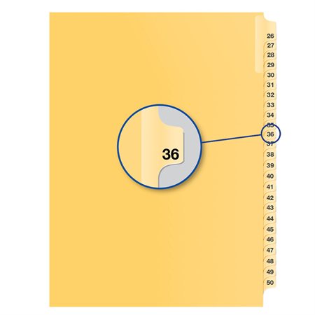 Individual Numerical Litigation Index Dividers #36