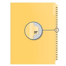 Individual Numerical Litigation Index Dividers #37