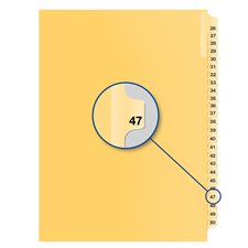 Individual Numerical Litigation Index Dividers #47