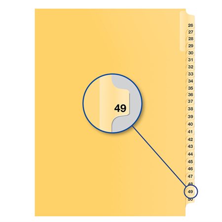 Individual Numerical Litigation Index Dividers #49