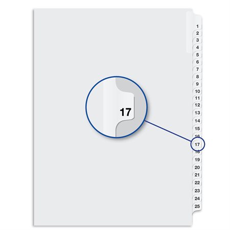 Quest Numerical Litigation Index Dividers 13 to 25 #17