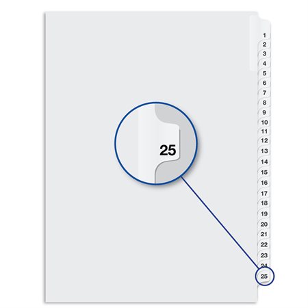 Quest Numerical Litigation Index Dividers 13 to 25 #25