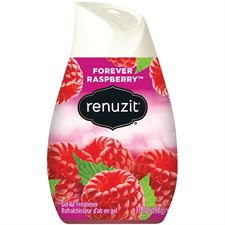 Rafraîchisseur d’air en gel Renuzit parfum de framboise