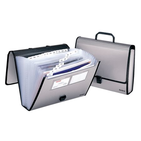 Professional Expandable File