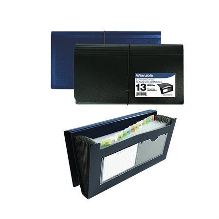 Expandable File Cheque size black