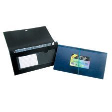 Expandable File Cheque size blue