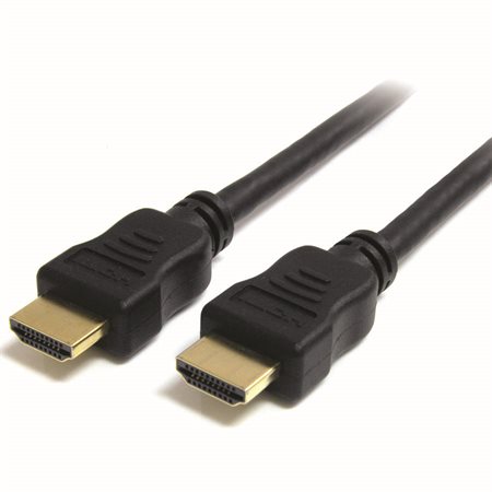 High Speed HDMI Cable 10 feet