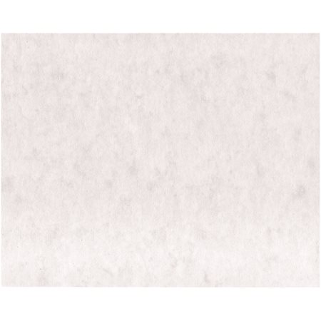 Colour cardstock white