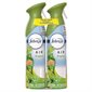 Gain Air Freshener package of 2