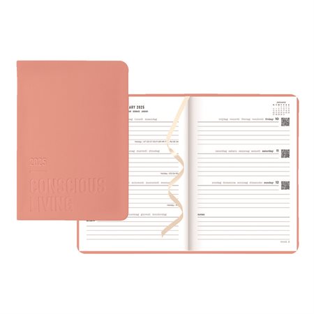 Conscious Weekly / Monthly Planner (2025) clay