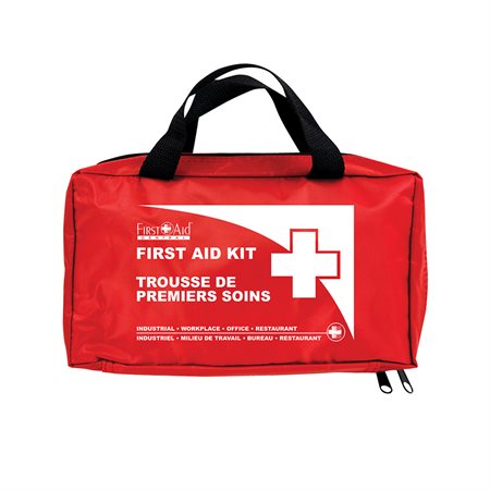 Federal Type B First Aid Kit In a nylon bag