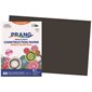 Construction Paper 12 x 18 in (package of 25) black