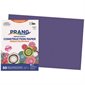 Construction Paper 12 x 18 in (package of 25) blue