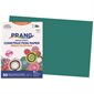 Papier de construction 12 x 18 po (paquet de 25) turquoise