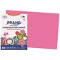 Papier de construction 12 x 18 po (paquet de 25) rose foncée