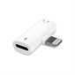 Adaptateur iPhone à Double Lumière