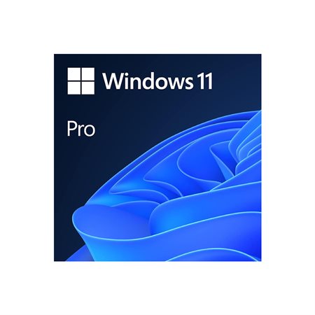 MS.OEM SYS.BUIL.WIN.11 PRO