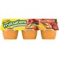 Fruitsations Unsweetened Peach