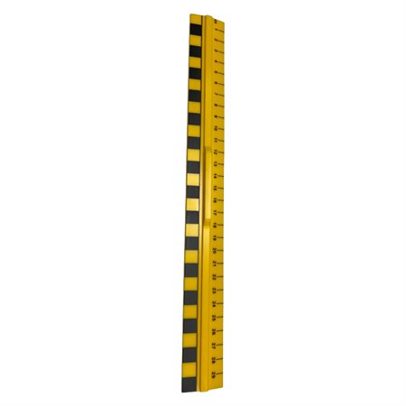 SCHOOL 11500 PRIMARY 30 CM RULER