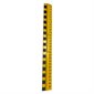 SCHOOL 11500 PRIMARY 30 CM RULER