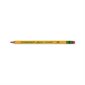 TICONDEROGA TRI WRITE - INTERM (36)