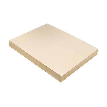 MANILA HEAVY WEIGHT TAG9X12 (100)