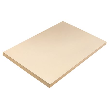 MANILA TAG 200M12"X18" (100)